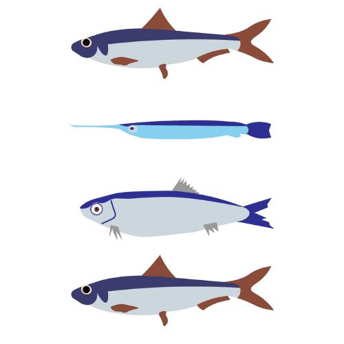 combo pack, sardines