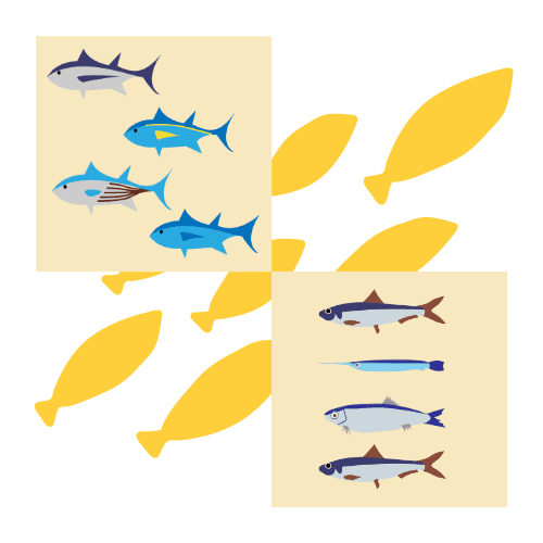 combo pack icon